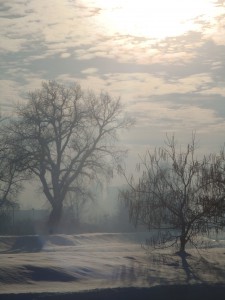 Зимнее солнце