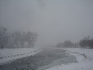Снежный день