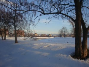 Зимний день в Сербии