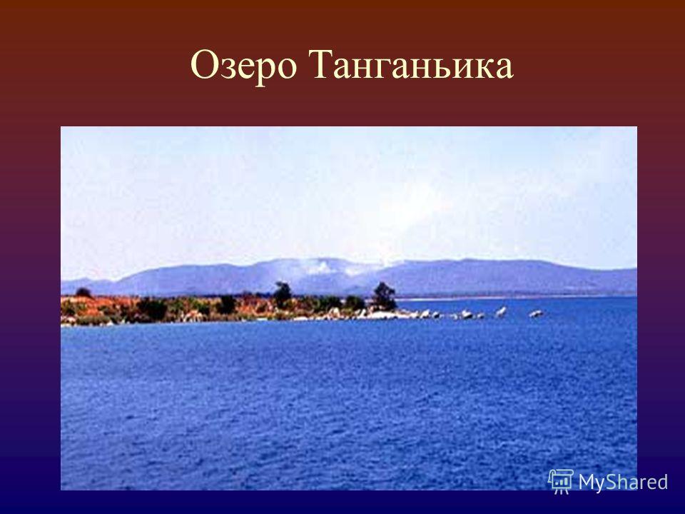 Как произошло озеро танганьика. Озеро Танганьика. Озеро Байкал и Танганьика.