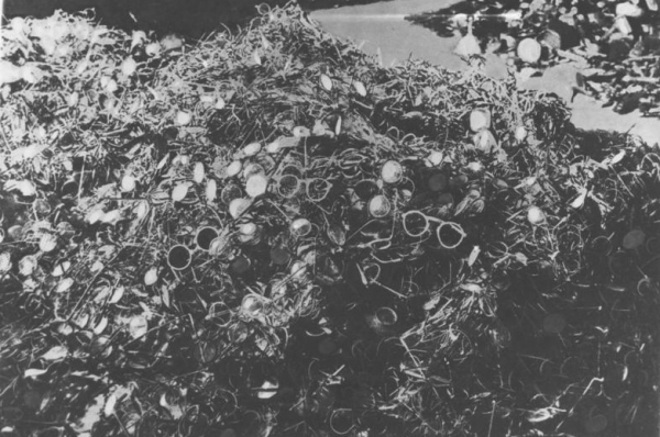 Освенцим тогда и сегодня в 15 фотографиях 27 января 1945 года в Освенцим вступили советские солдаты, обнаружившие семь с половиной тысяч узников, а также более миллиона частично уцелевших мужских и женских комплектов одежды, а также множество предметов бытовой утвари.