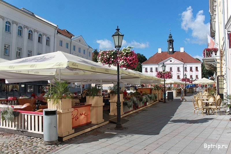 Таллин тарту. Тарту фото. Эстони. Набережная Тарту фото. Парк Ванемуйне в Тарту фото.