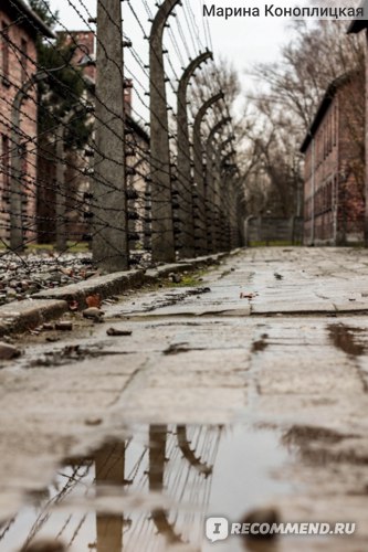 Государственный музей Аушвиц-Биркенау, Освенцим фото