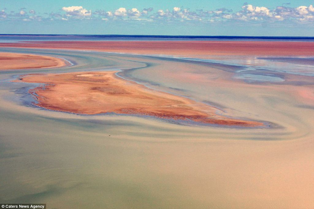 Озеро эйр находится в. Эйр Норт Австралия. Озеро Эйр Норт. Озеро Эйр в Австралии. Озеро Eyre Австралия.