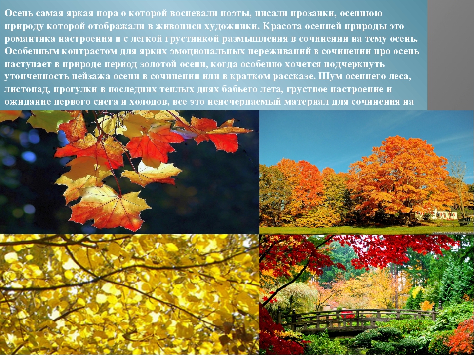 Времена года рассказ кратко. Красивое описание осени. История про осень. Рассказ о красоте осени. Описание осенней природы.