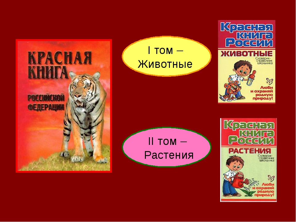 Красная книга том 1. Тома красной книги. Первая красная книга России. Красная книга 2001 года.