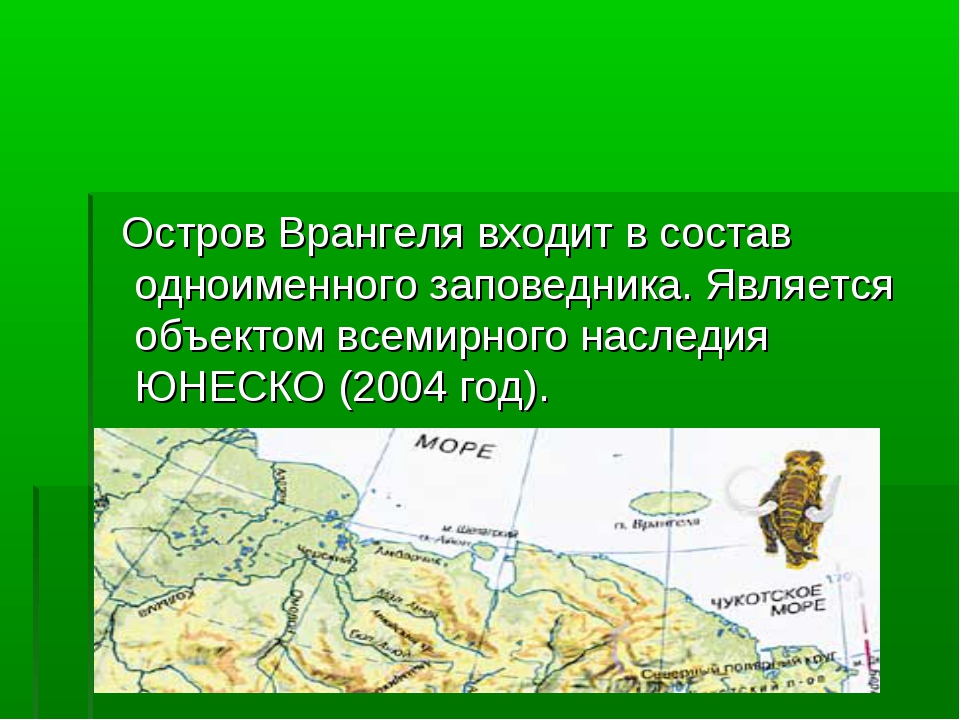 Остров рассказ. Остров Врангеля проект 4 класс окружающий мир. Остров Врангеля заповедник. Остров Врангеля презентация. Заповедник остров Врангеля презентация.