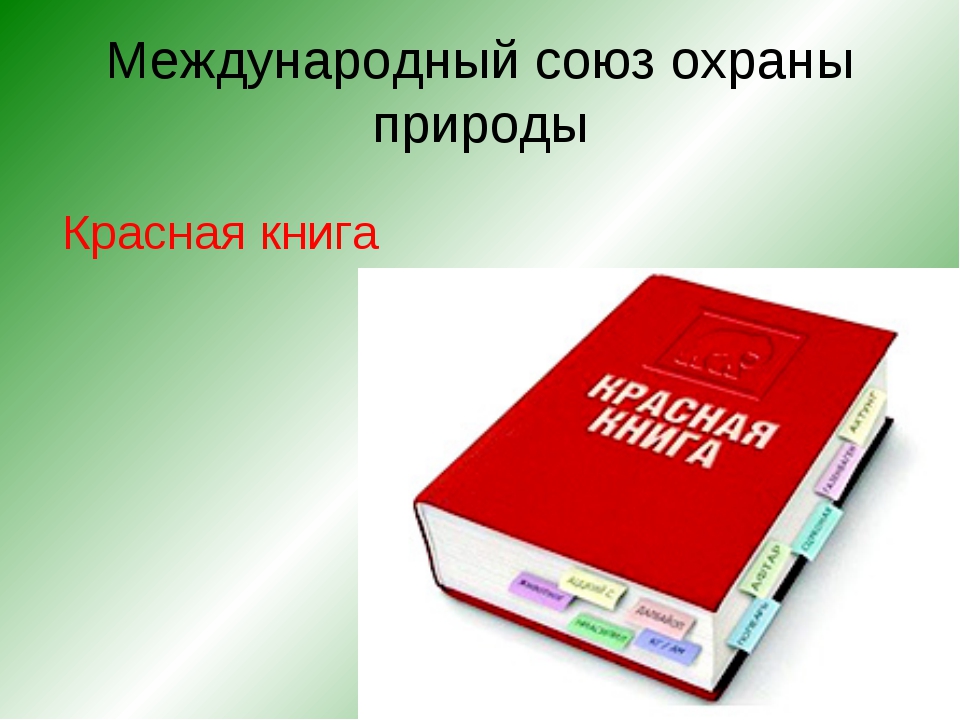 Картинка первой красной книги