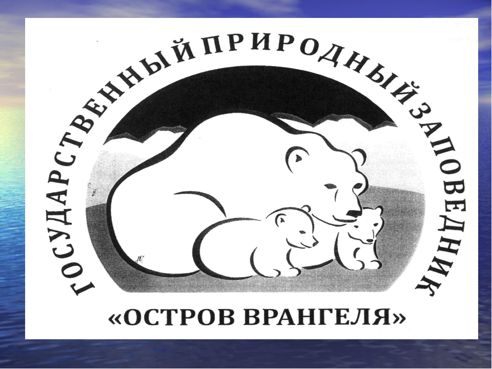 Остров врангеля какая природная зона. Остров Врангеля заповедник рисунки. Заповедник остров Врангеля территория. Остров Врангеля рисунок. Остров Врангеля заповедник эмблема.