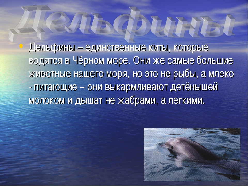 Интересные факты о море