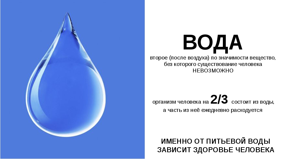 После воздуха. На сколько кот состоит из воды. 2/3 Состоим из воды. Сколько в нас воды. Человек на три четверти состоит из воды.