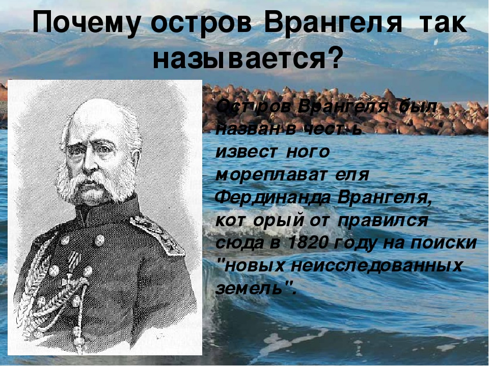 Какой объект носит имя врангеля. Остров Врангеля. Остров Врангеля рассказ. Презентация на тему остров Врангеля. Сообщение о острове.