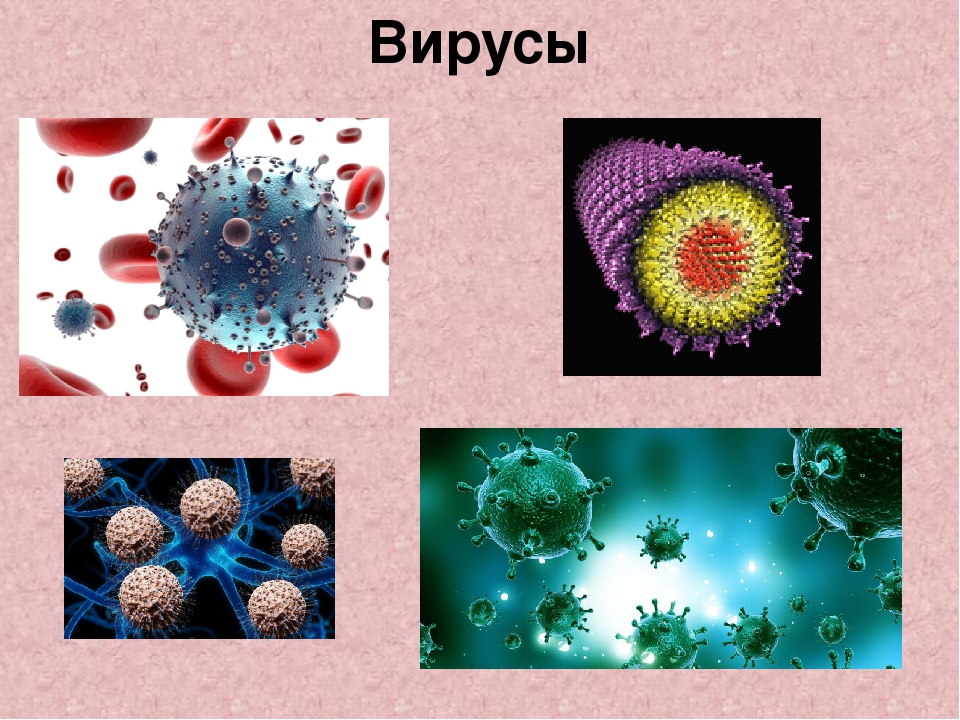 Биология 8 вирусы. Вирусы презентация. Вирусы по биологии 5 класс. Биология тема вирусы. Вирусы слайд.
