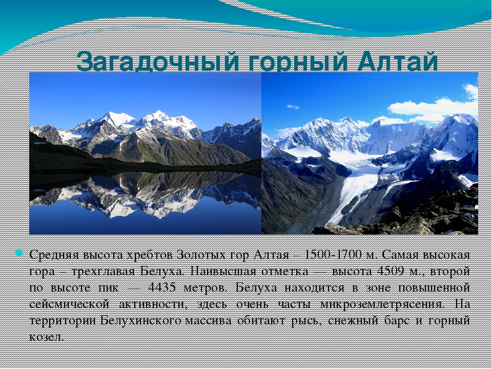 Республика алтай доклад. Алтайские горы информация. Сообщение о алтайских гор. Горы Алтая доклад. Алтайские горы доклад.