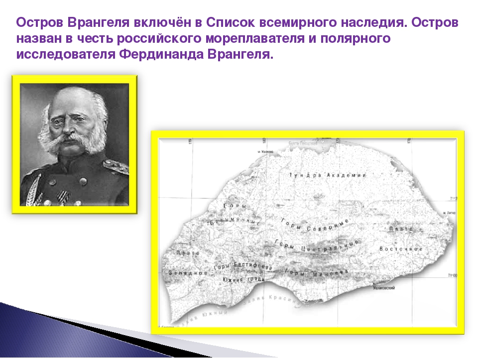 Какой объект носит имя врангеля. Трищетинник врангелевский остров Врангеля. Остров Врангеля исследователи. Врангель в честь которого назван остров Врангеля.