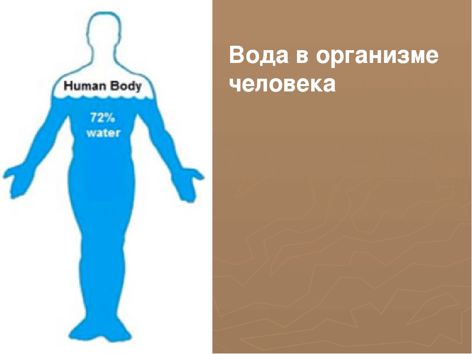 Из скольких процентов воды состоит человек. Вода в организме человека. Ода в организме человека.. Вода в теле человека. Содержание воды в человеке.