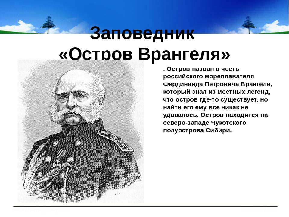 Фамилия основателя заповедника. Врангель Фердинанд Петрович открытия. Врангель Фердинанд Петрович карта остров Врангеля. Фердинанд Петрович Врангель заповедник. Остров Врангеля открыватели.