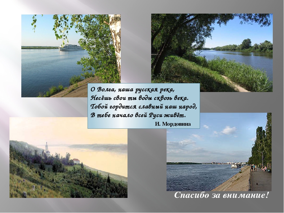 Почему волгу называют матушкой. Река Волга презентация. Доклад про Волгу. Описание реки Волга. Проект река Волга.