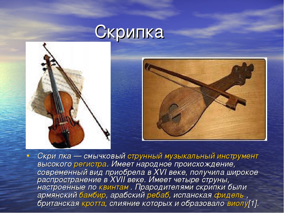 Типы скрипок. Струнно смычковый инструмент предшественник скрипки. Струнно смычковые инструменты. Струнно-смычковые музыкальные инструменты. Струнно Щипковые инструменты.