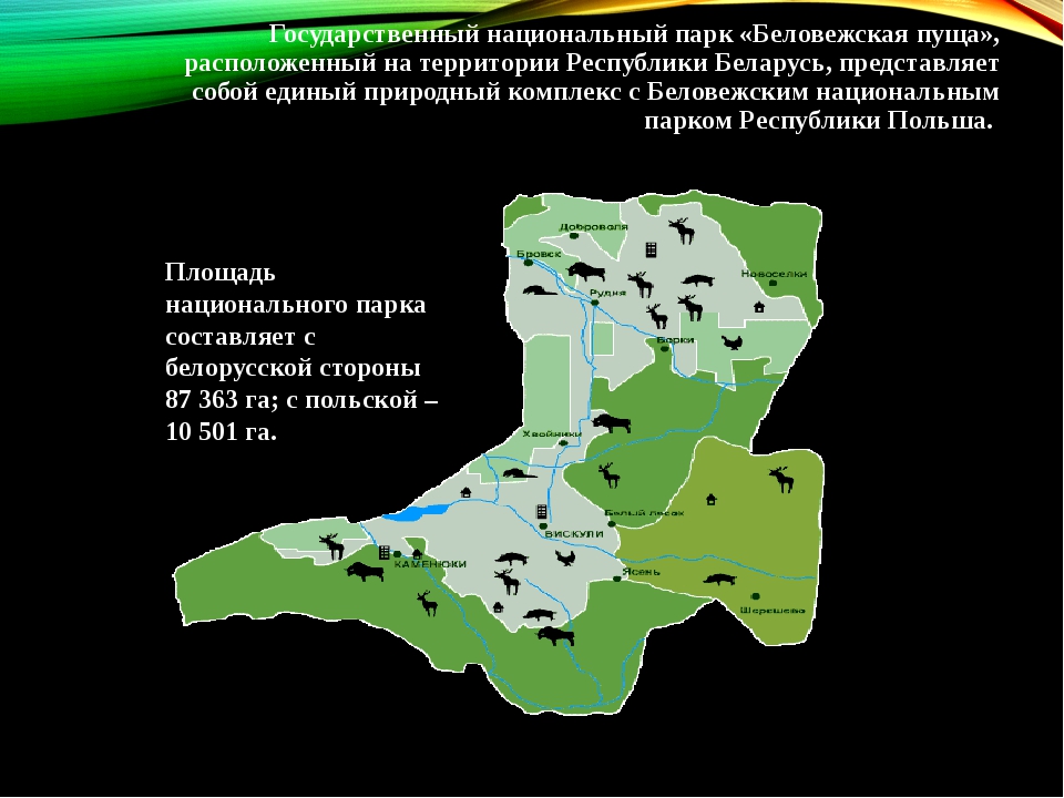 Беловежская пуща расстояние. Карта национального парка Беловежская пуща. Беловежская пуща национальный парк на карте. Беловежская пуща на карте Беларуси. Беловежская пуща на карте Белоруссии.