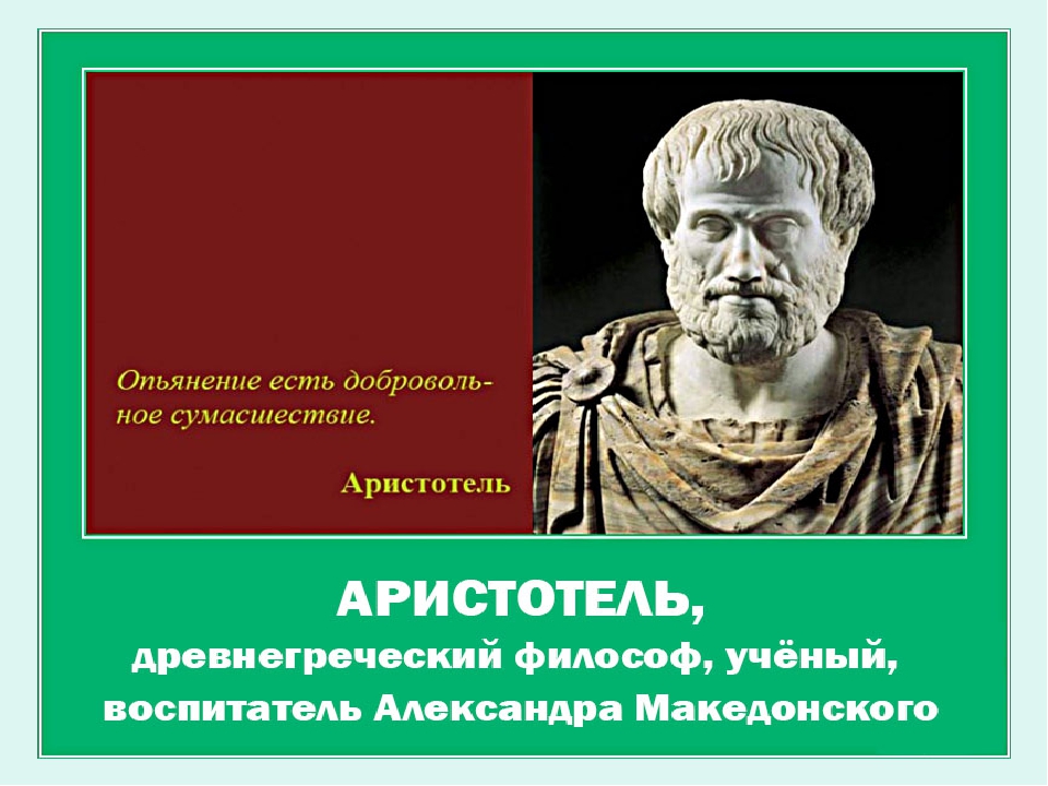 Перикл биография. Какие науки создал Аристотель. Аристотель про алкоголь. Аристотель высказывание о биологи.