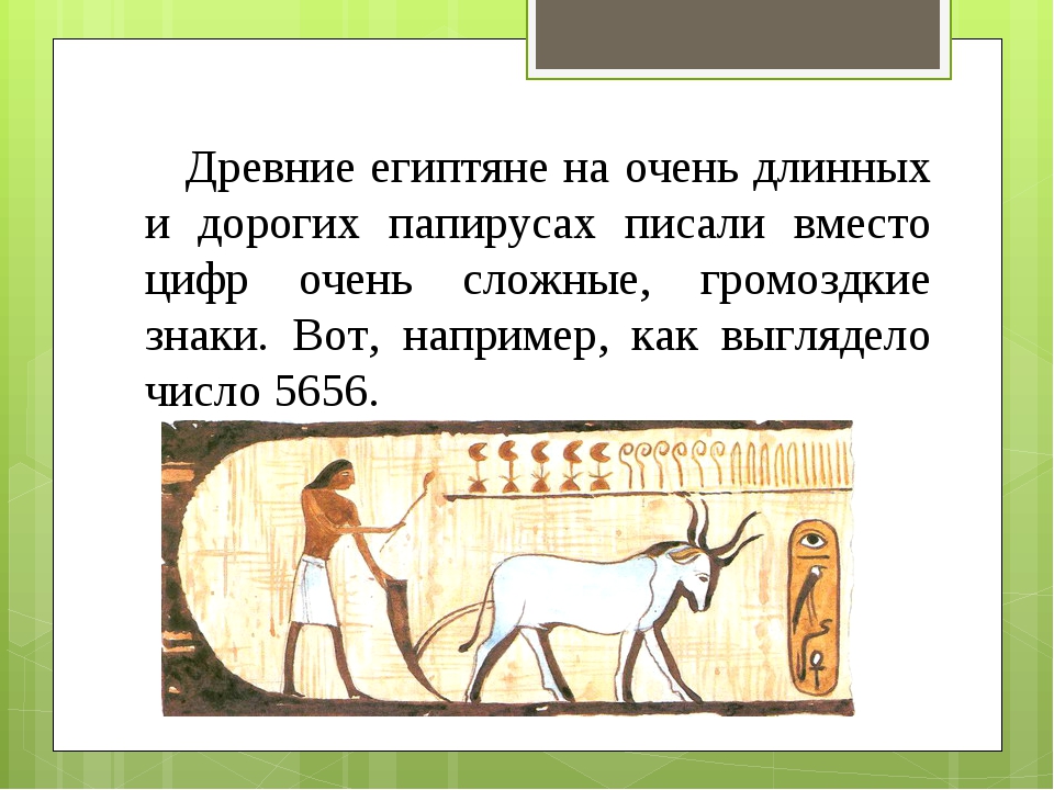 Древние факты. Возникновения чисел древние египтяне. Цитаты о древнем Египте. Цитаты из древнего Египта. Афоризмы древнего Египта.