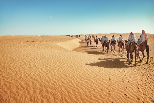Караван верблюдов в пустыне Сахара