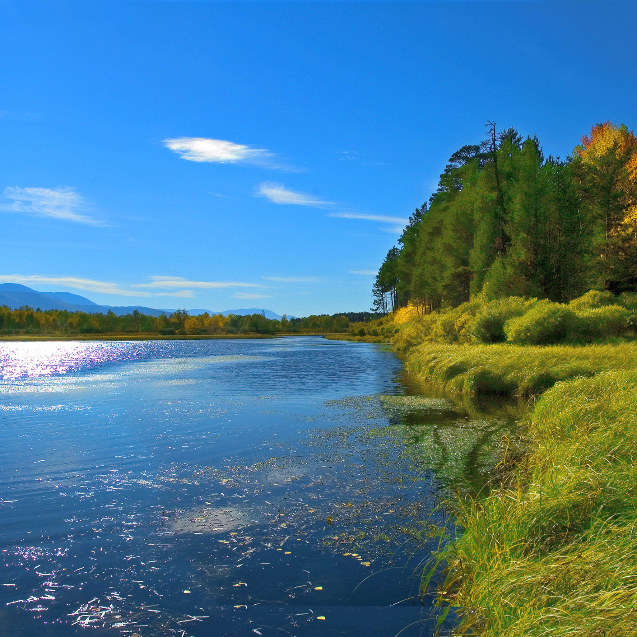 Лето река фото. Природа река. Река фото. Берег реки. Реки России.
