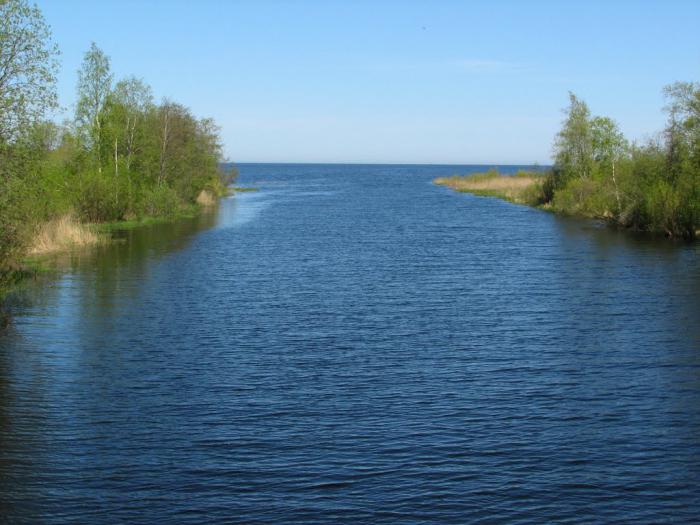 моря реки и озера россии