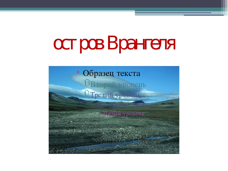 Какой объект носит имя врангеля. Остров Врангеля. Остров Врангеля на карте. Остров Врангеля температура. Чертов овраг остров Врангеля.