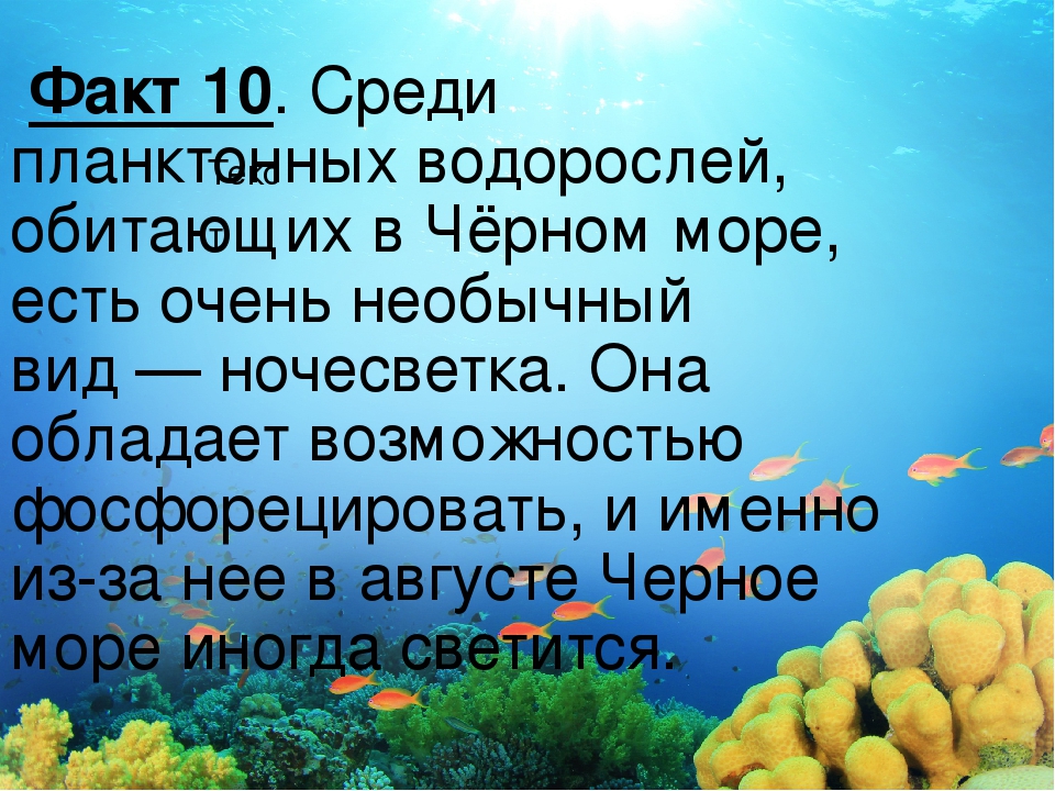 Интересные факты о море