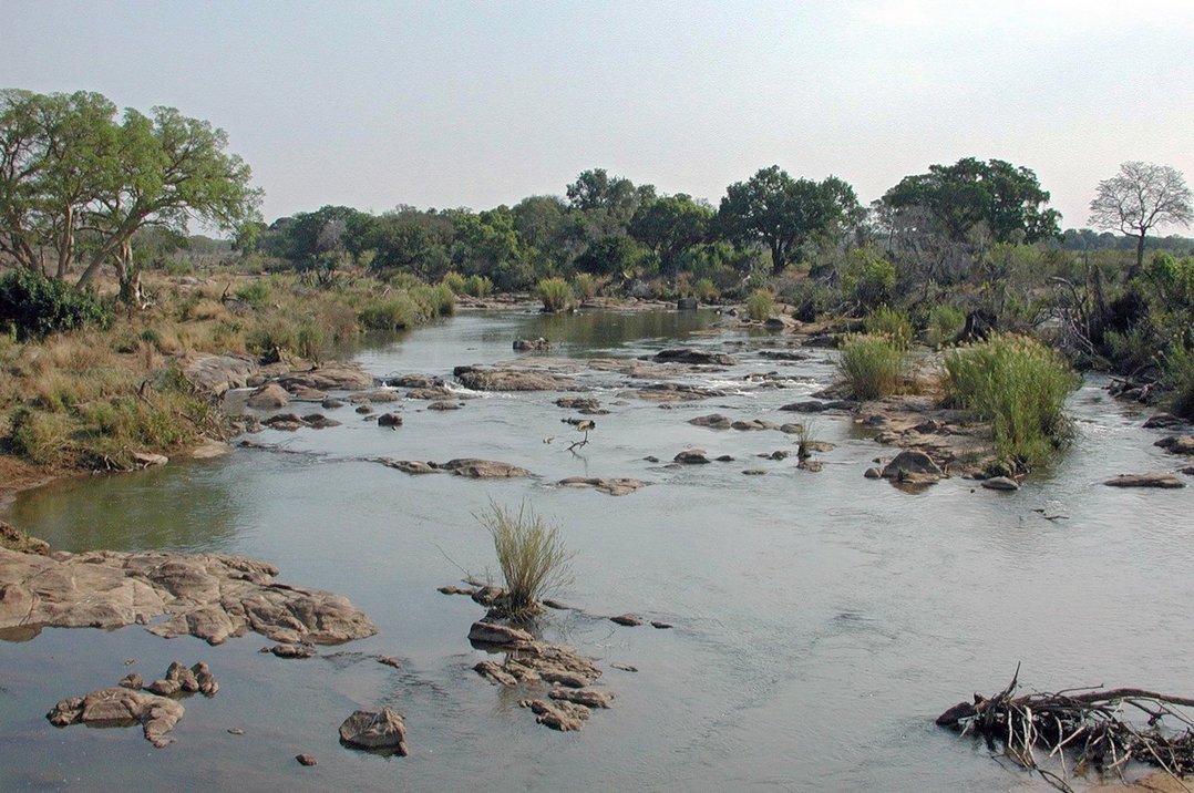 Крокодиловая река в Африке. Лимпопо река в Африке фото. Картинки река Лимпопо с крокодилами. Картинка берег реки Лимпопо с крокодилами.
