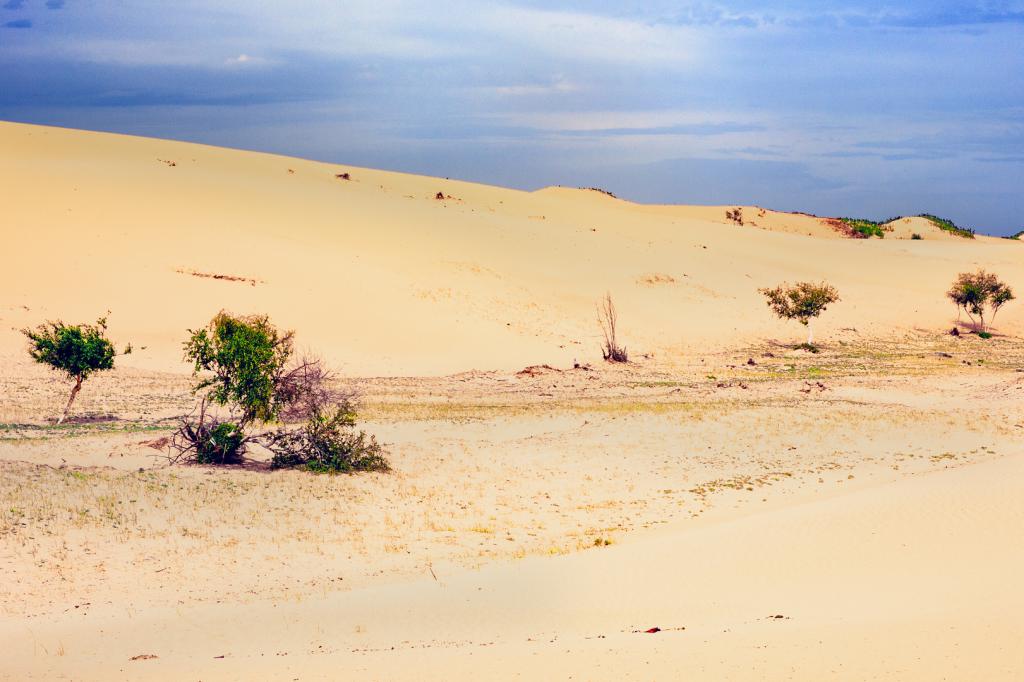Очаровательная пустыня Гоби