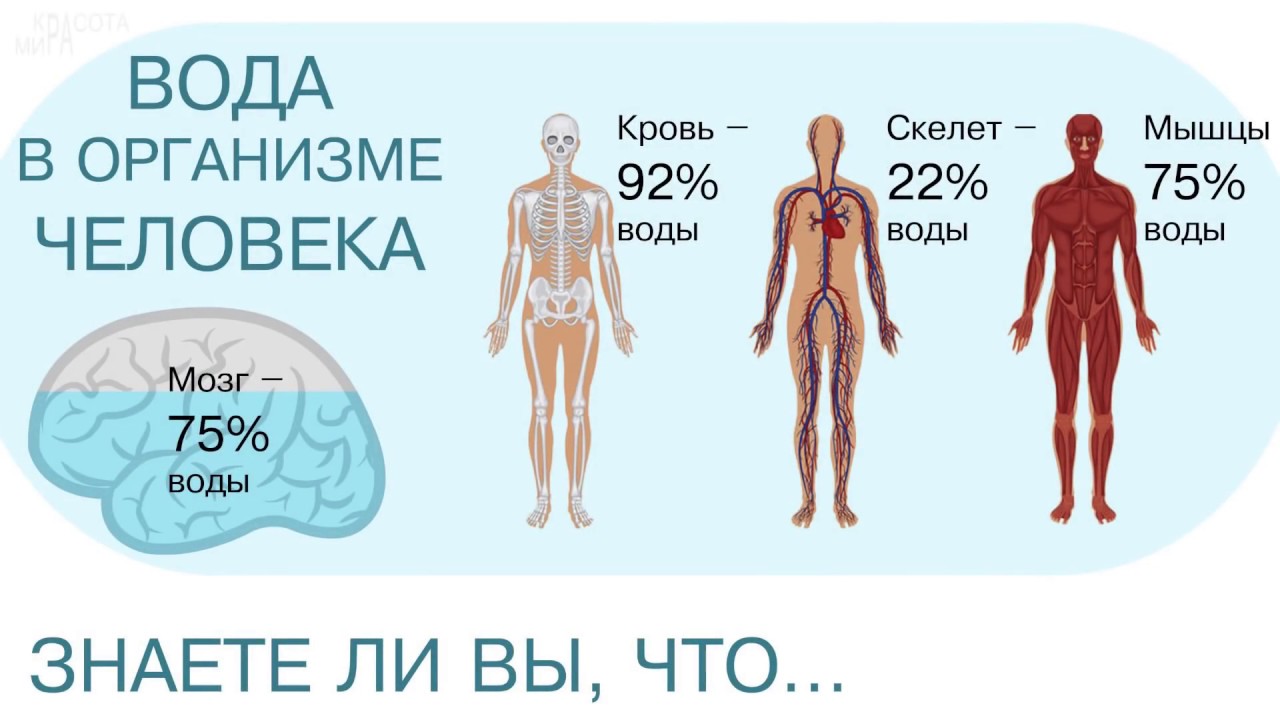 Картинки вода в организме человека