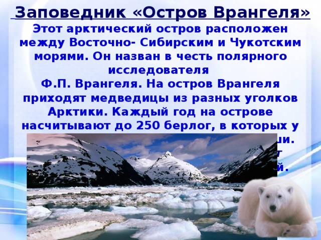 Название заповедников в арктических пустынях. Арктические пустыни остров Врангеля. Заповедники Арктики остров Врангеля. Природный комплекс заповедника остров Врангеля. Зона арктических пустынь заповедник остров Врангеля.