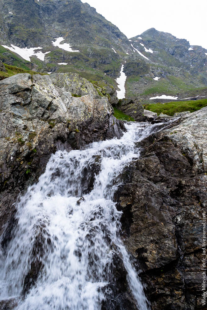 DSC_0263