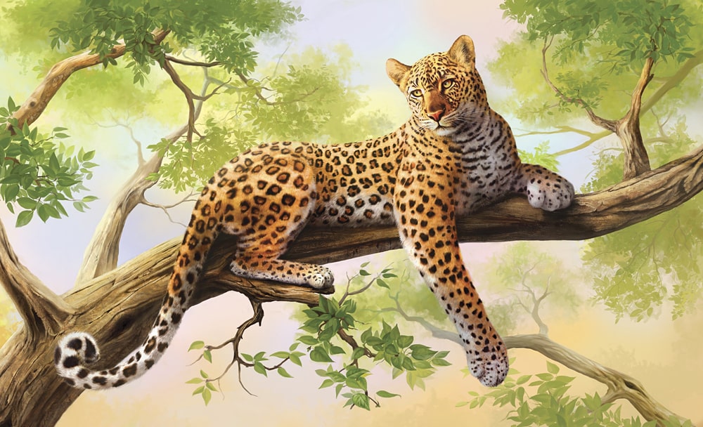 Interesnye-fakty-o-leopardah