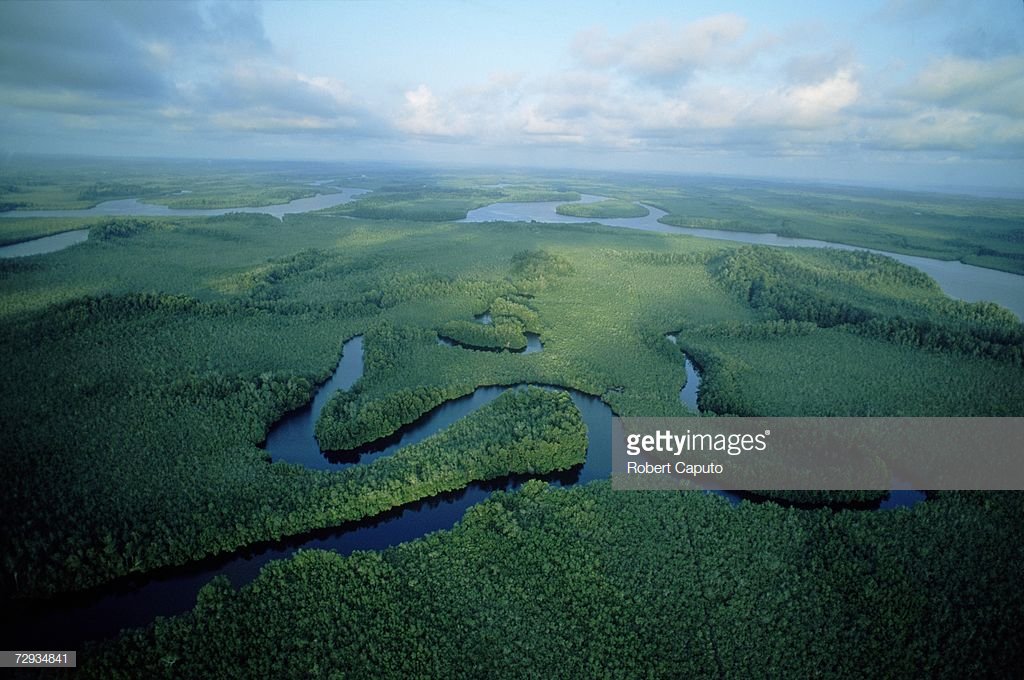 Самая полноводная река материка африки. Котловина реки Конго. Впадина Конго. Впадина реки Конго. Впадина Конго в Африке.