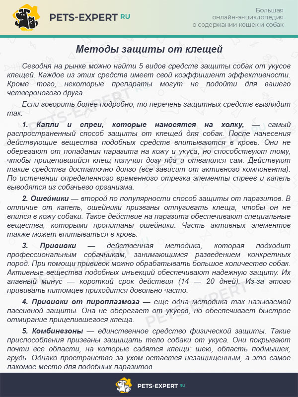 Методы защиты от клещей