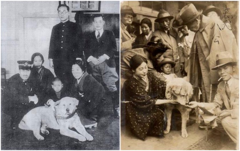 Настоящий хатико. Хатико 1923. Хатико 1923 год. Хатико с хозяином 1923.