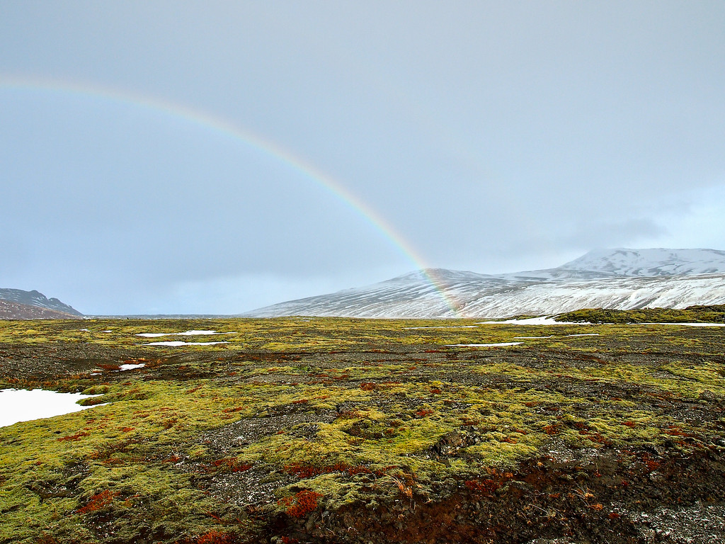 Rainbow over a lava field in Iceland