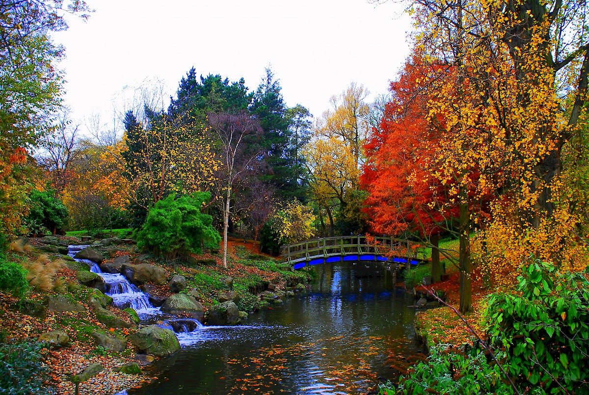 Regent park в лондоне