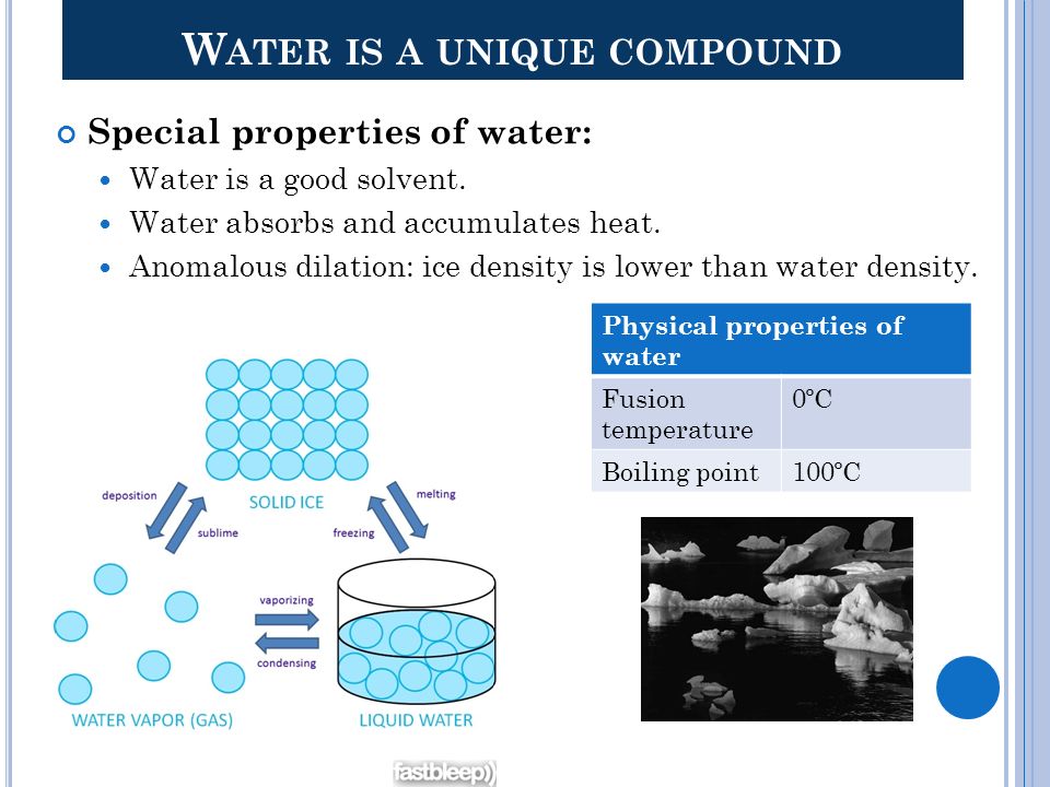 Water is a unique compound