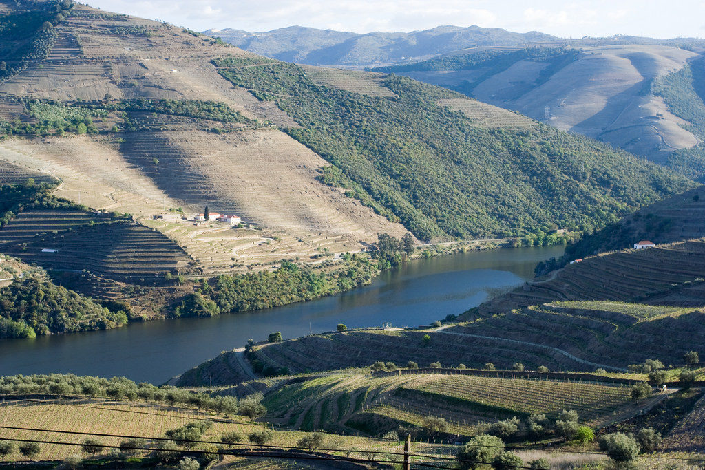 Douro_Valley_Portugal