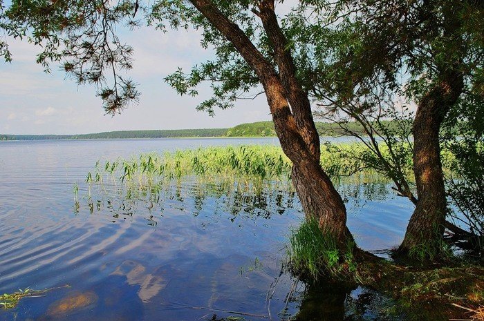 Красивое озеро Селигер (31 фото)