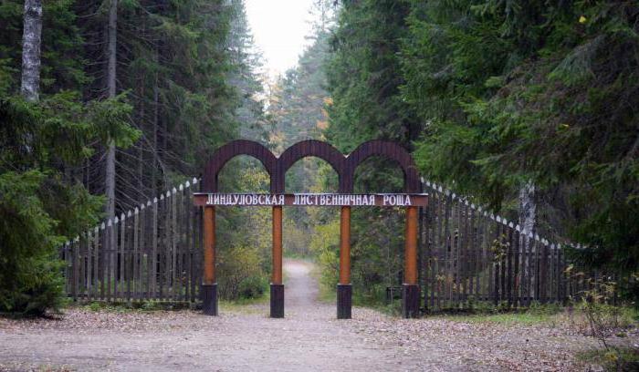 заповедники и национальные парки ленинградской области